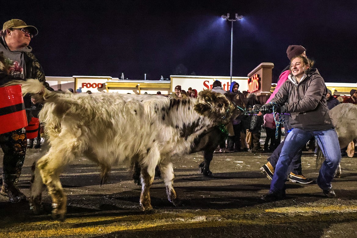 A parade member wrangles in a stubborn steer in the Night of Lights Parade on Friday. (JP Edge photo)