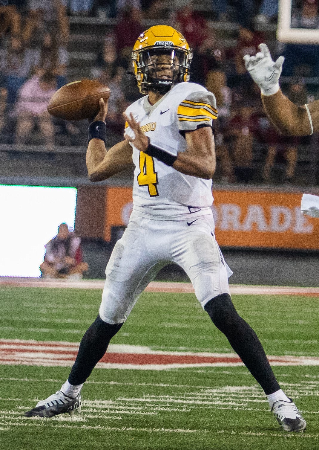 SPENCER FARRIN/For Idaho Athletics
Idaho redshirt freshman quarterback Gevani McCoy.