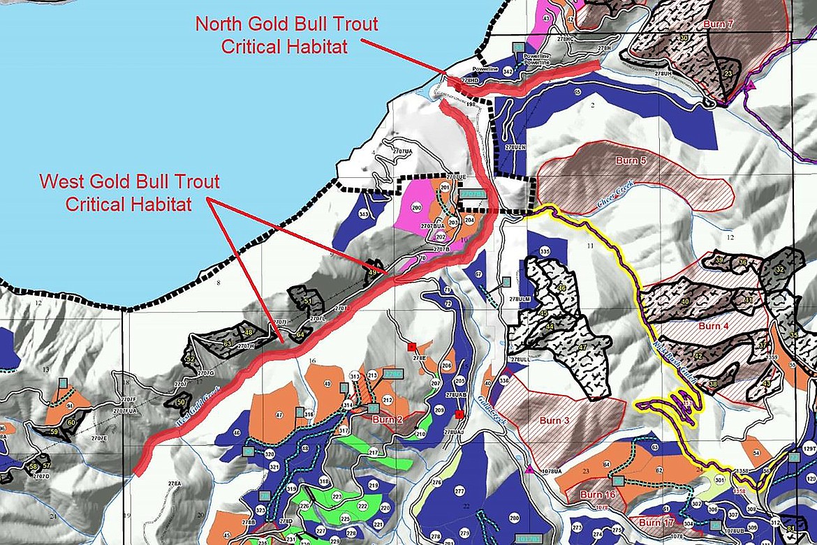 A map shows the location of critical bull trout habitat in the Chloride Gold Restoration Project area.