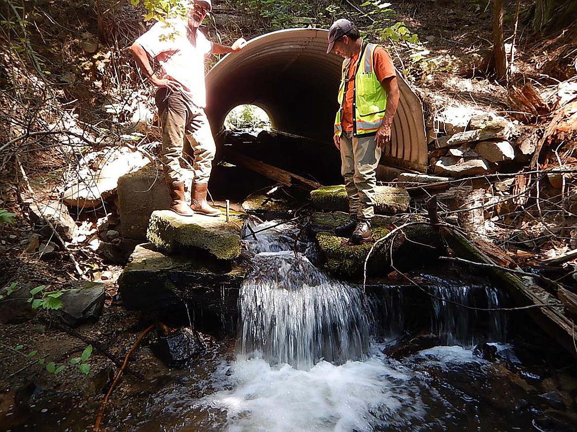 Chloride Gold Project aims to boost forest health, bull trout habitat