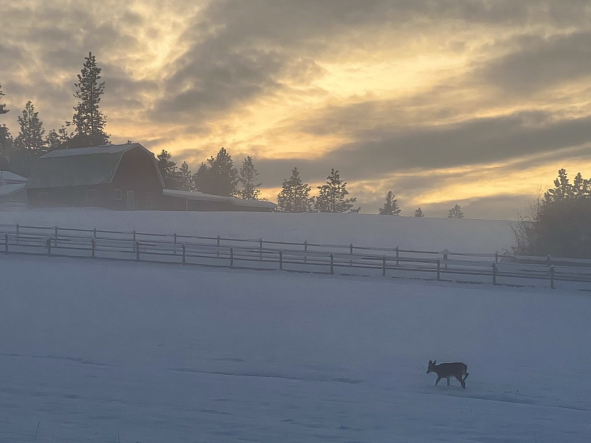 "Snow haze at sunset on French Gulch, Coeur d'Alene on 12/7/22."