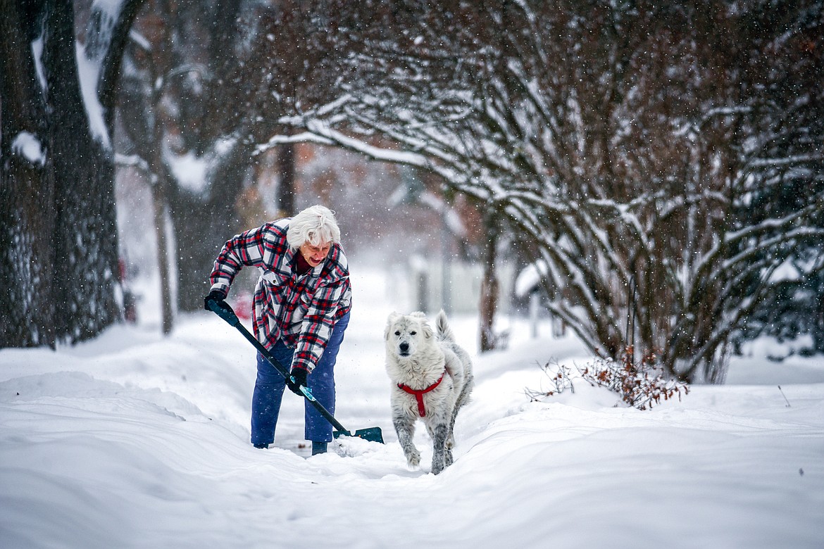 Sylvia Kerchner shovels snow in front of her residence along Third Avenue East with her border collie mix named Schuster on Tuesday, Dec. 20. (Casey Kreider/Daily Inter Lake)