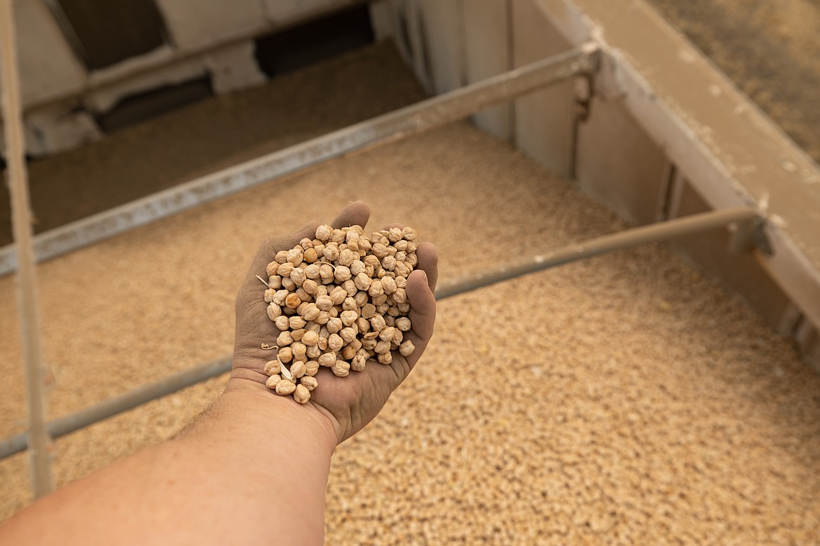 Before joining Ardent Mills, the Hinrichs Trading Company ended their part of the supply chain at the whole chickpea. Now they have facilities to create chickpea flour.