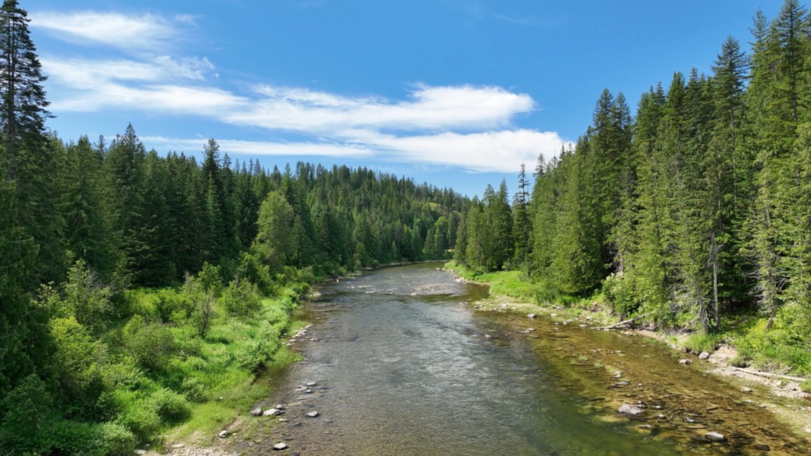 Area residents and many organizations are beginning to organize to restore and enhance the fisheries of the Priest River.