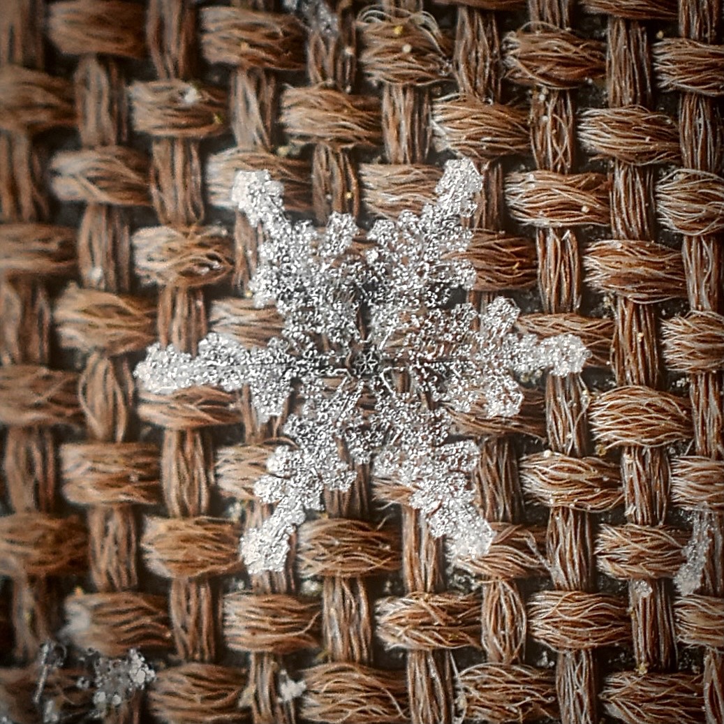 A perfect Idaho snowflake on our outdoor furniture cover.