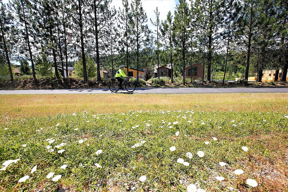 A bicyclist passes a section of land next to the North Idaho Centennial Trail in June where a greenbelt is planned for development.