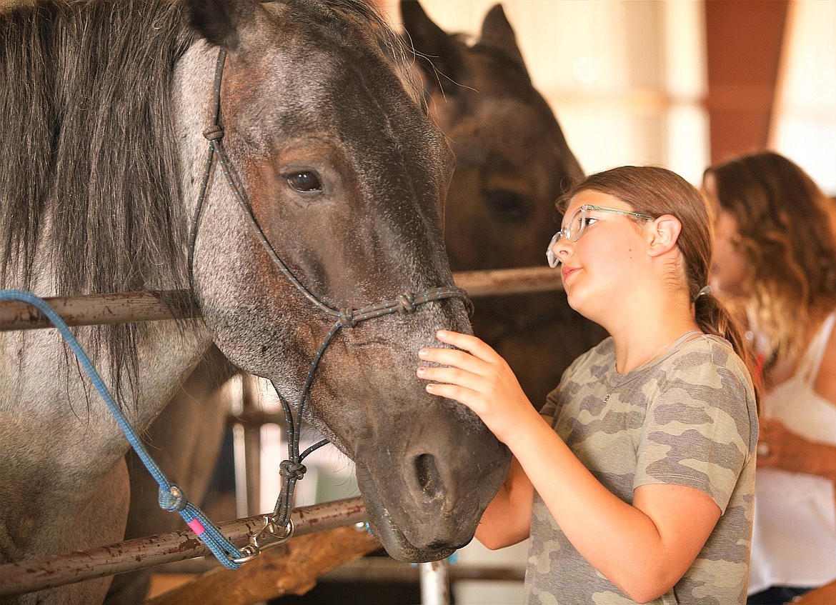 Emma Mallrie of Dalton Gardens befriends a draft horse at the North Idaho State Fair at the Kootenai County Fairgrounds.