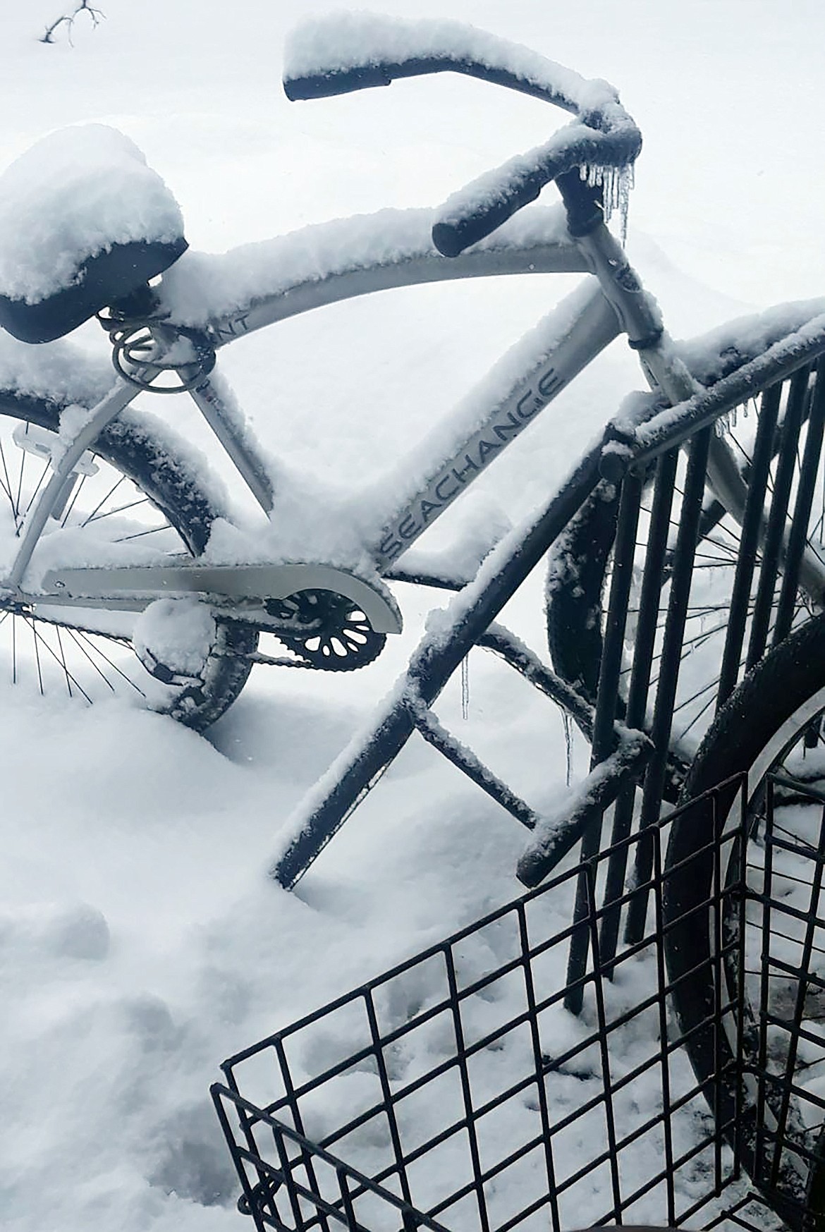 Albert de Armas captured this Best Shot of snow accenting the lines of a bicycle. If you have a photo that you took that you would like to see run as a Best Shot or I Took The Bee send it in to the Bonner County Daily Bee, P.O. Box 159, Sandpoint, Idaho, 83864; or drop them off at 310 Church St., Sandpoint. You may also email your pictures in to the Bonner County Daily Bee along with your name, caption information, hometown and phone number to news@bonnercountydailybee.com.