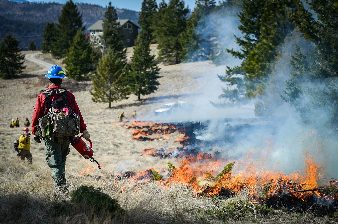 Lucas Kopitzke, with the Montana DNRC, uses a drip torch to ignite bunch grass during a prescribed burn at Lone Pine State Park in Kalispell on Thursday, April 7. Held in conjunction with Montana Fish, Wildlife & Parks, the prescribed fire is aimed at benefiting the park's grassland habitat, including native plants and the wildlife species that frequent the area.(Casey Kreider/Daily Inter Lake)