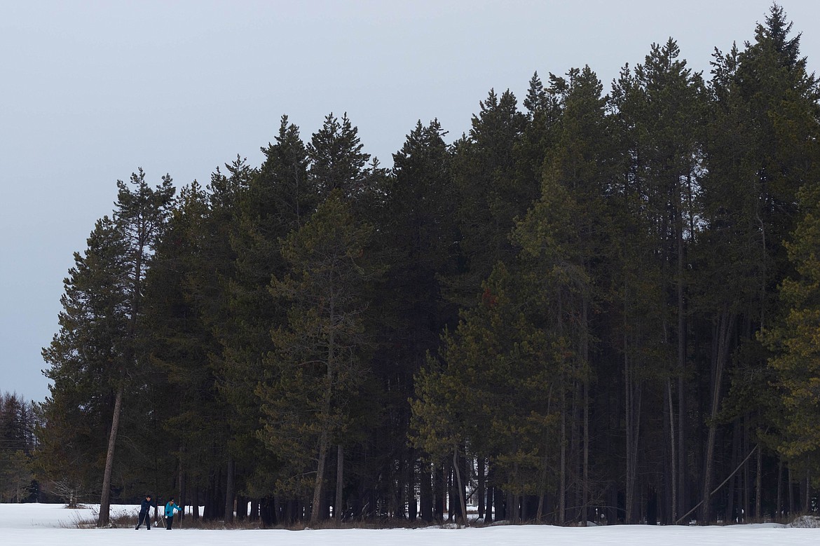 Hannah Kohrs and her fiancé are seen cross country skiing on the Kohrs family land on Jan 5, 2023. (Kate Heston/Daily Inter Lake)