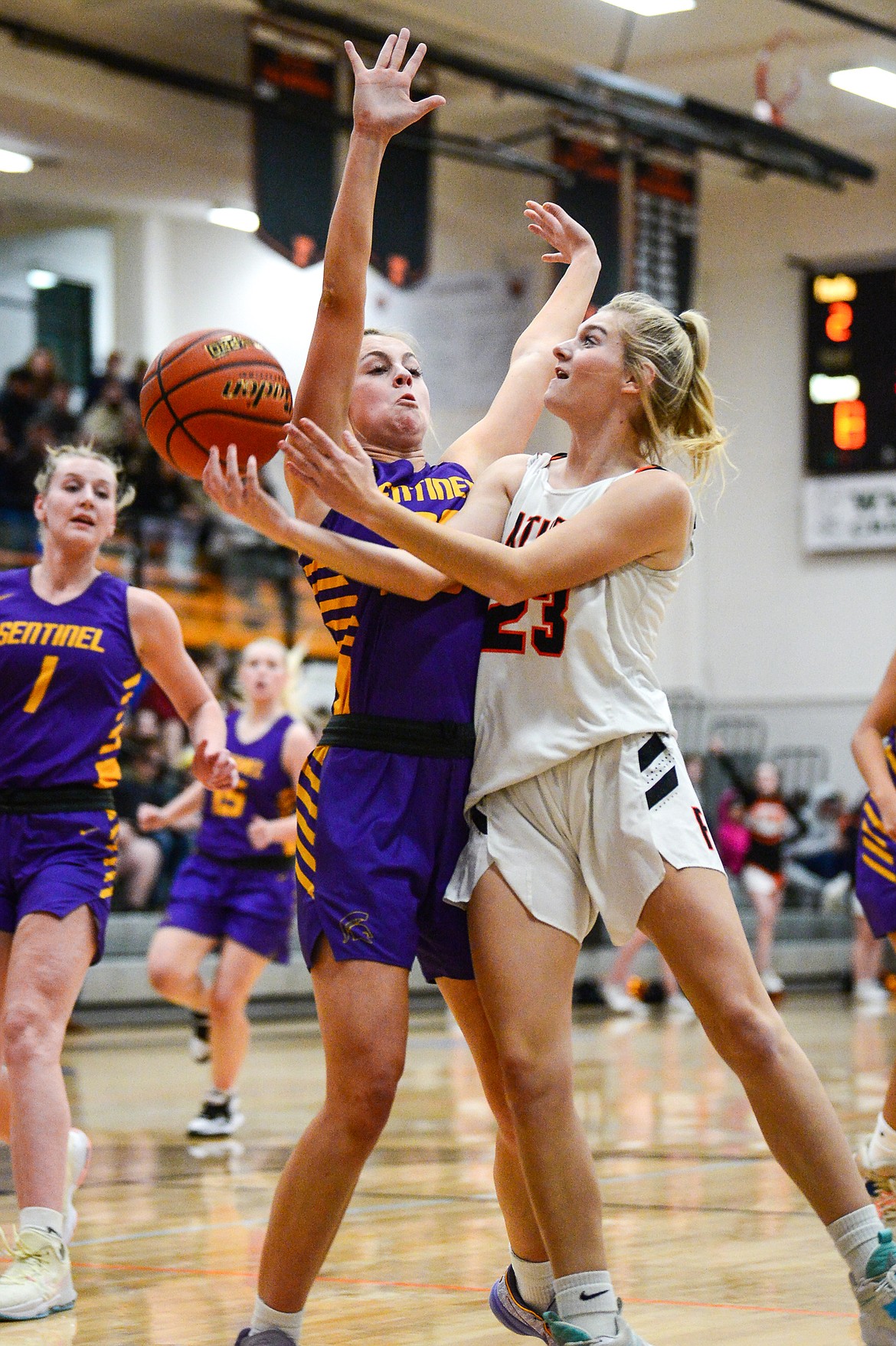 Flathead's Celie Vandenbosch (23) is fouled on her way to the basket in the first half against Missoula Sentinel at Flathead High School on Friday, Jan. 6. (Casey Kreider/Daily Inter Lake)