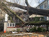 Californians cope with more rain, snow, flooding and outages