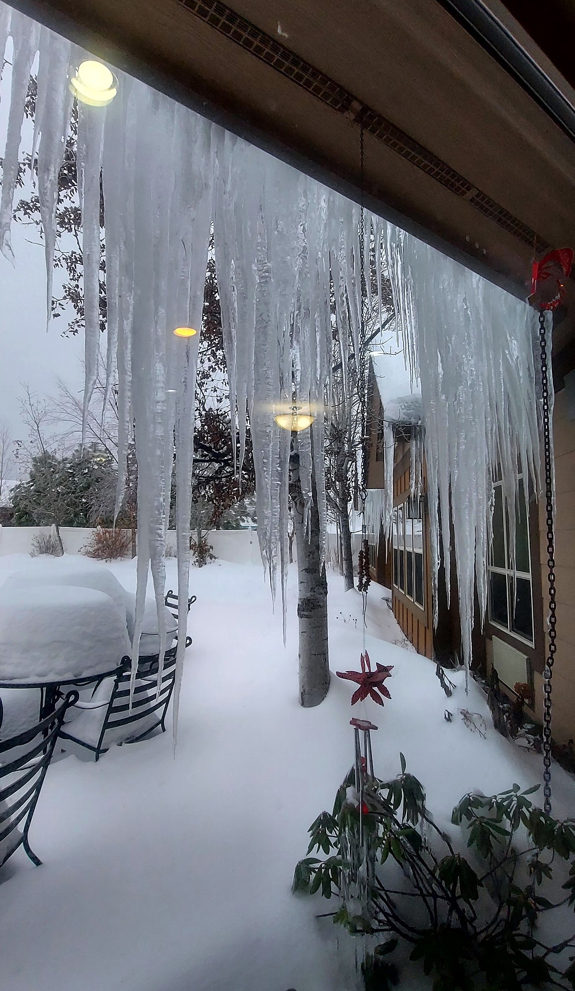 "Beauty in Sandpoint," wrote Patty White in sharing this Best Shot taken in December 2022. If you have a photo that you took that you would like to see run as a Best Shot or I Took The Bee send it to the Bonner County Daily Bee, P.O. Box 159, Sandpoint, Idaho, 83864; or drop them off at 310 Church St., Sandpoint. You may also email your pictures to the Bonner County Daily Bee along with your name, caption information, hometown, and phone number to news@bonnercountydailybee.com.