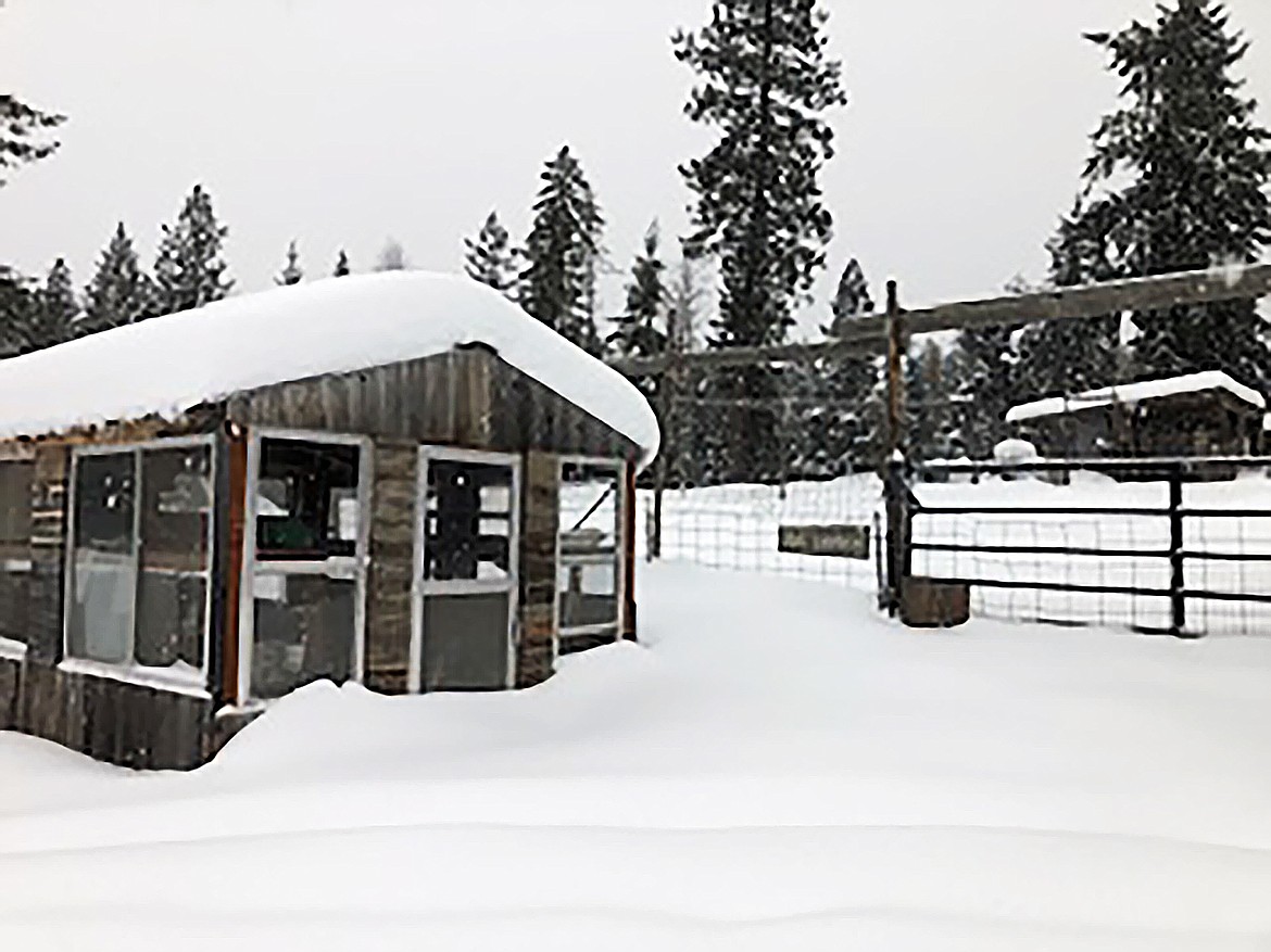 Steve Johnson shared this Best Shot taken in late December of a "patient garden shed." If you have a photo that you took that you would like to see run as a Best Shot or I Took The Bee send it to the Bonner County Daily Bee, P.O. Box 159, Sandpoint, Idaho, 83864; or drop them off at 310 Church St., Sandpoint. You may also email your pictures to the Bonner County Daily Bee along with your name, caption information, hometown, and phone number to news@bonnercountydailybee.com.