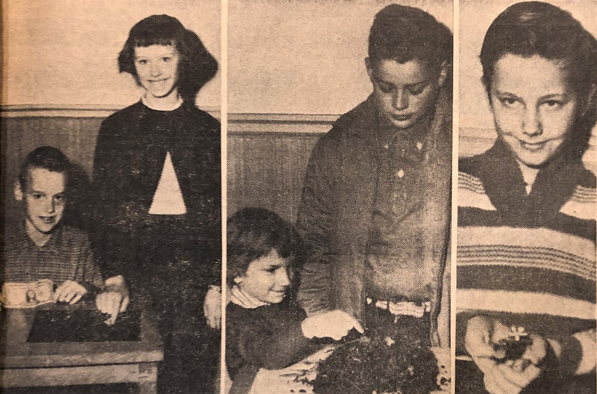 Dave Scates, 12, center photo, was one of the children to claim the first buttercup of spring in January 1963.