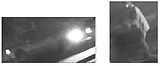 KCSO seeking trash can bandit