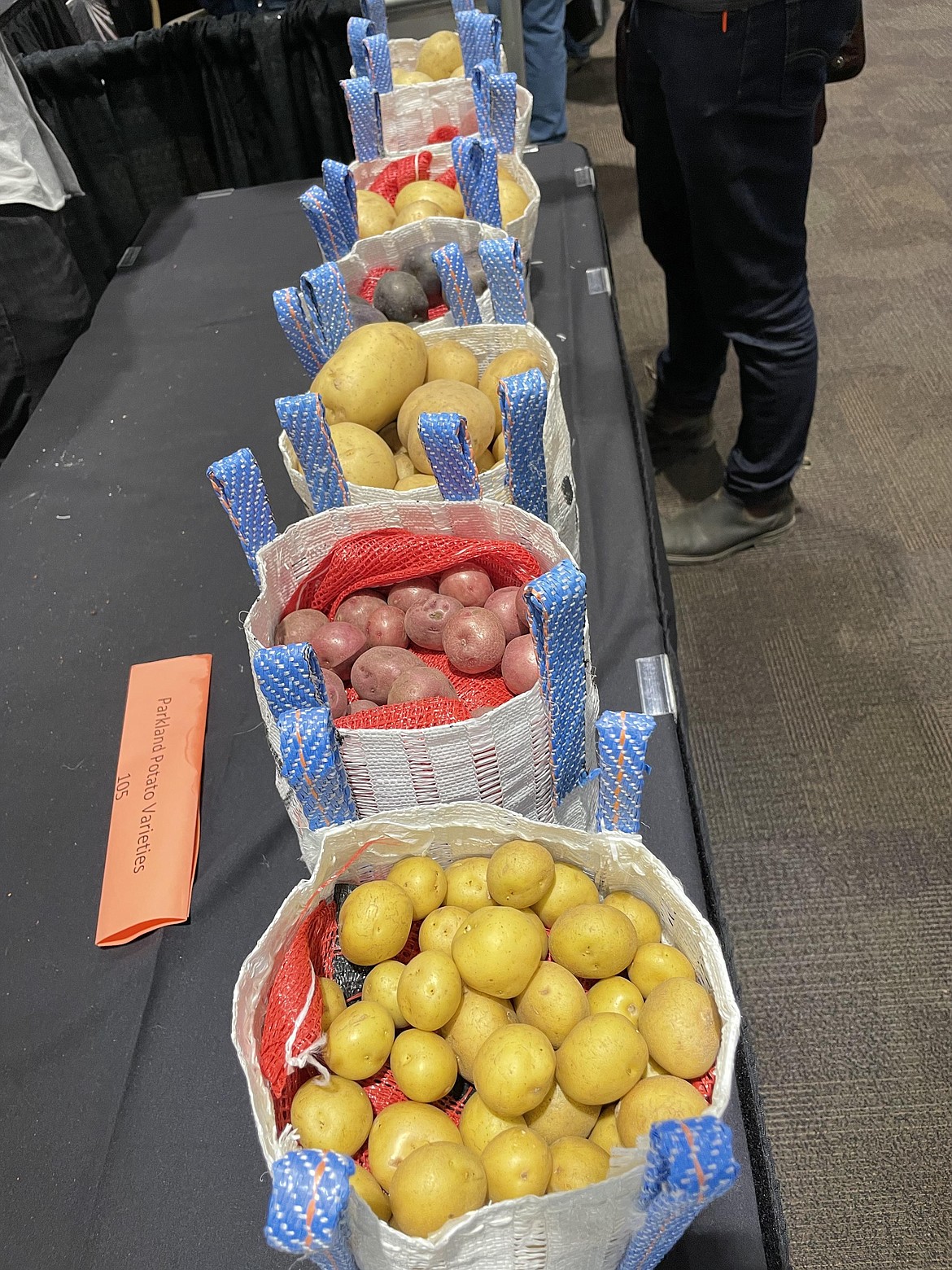 Potato varieties on display at the 2022 Washington-Oregon Potato Conference.