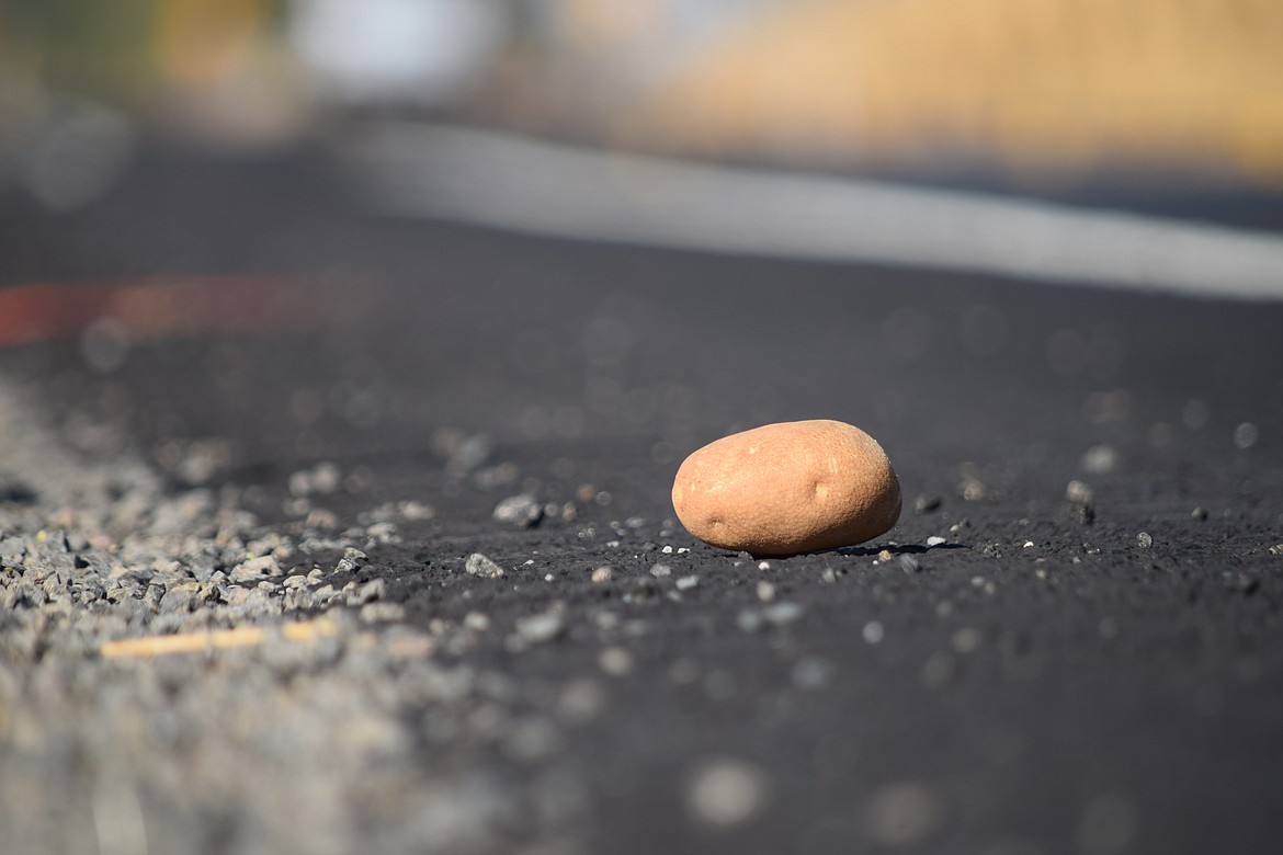 A lonely potato at the side of Road M south of Moses Lake during harvest season. Potatoes will be front and center this month at the Washington-Oregon Potato Conference.