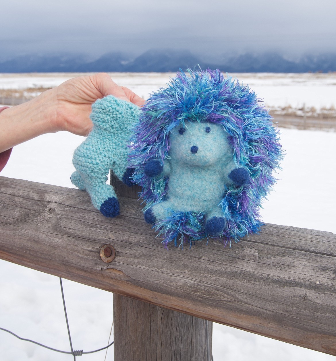 Cute blue hedgehog, perched on a Lorraine Hosler's fence near Charlo, is destined for Logan Health's children's facility in Kalispell. The hand-knitted form at left will be felted to make the front of another cute little fella. (Kristi Niemeyer/Leader)
