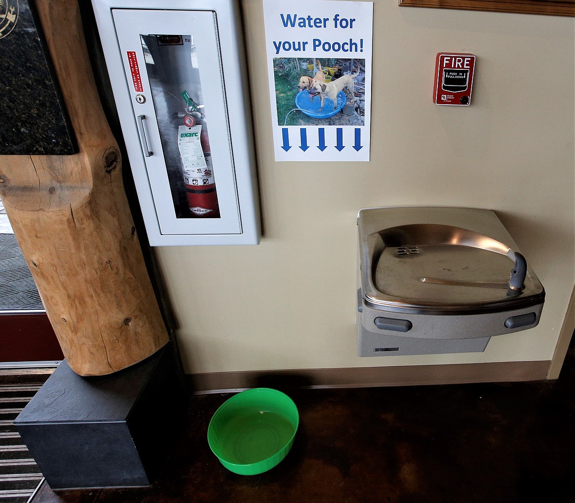 Water is ready for dogs at the Coeur d'Alene Regional Chamber.