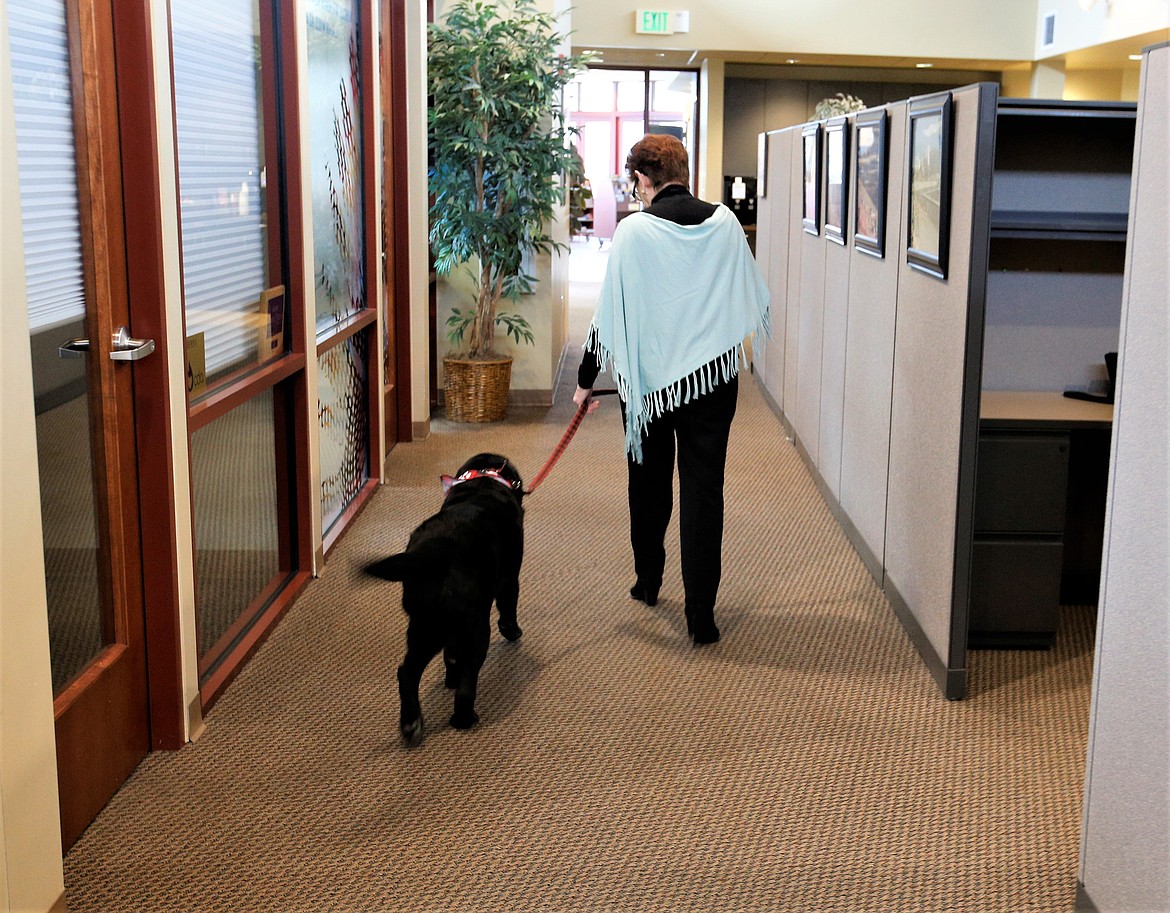 Joan Ford, Coeur d'Alene Regional Chamber visitor's center coordinator, takes Charlie for a walk to the front desk on Thursday.