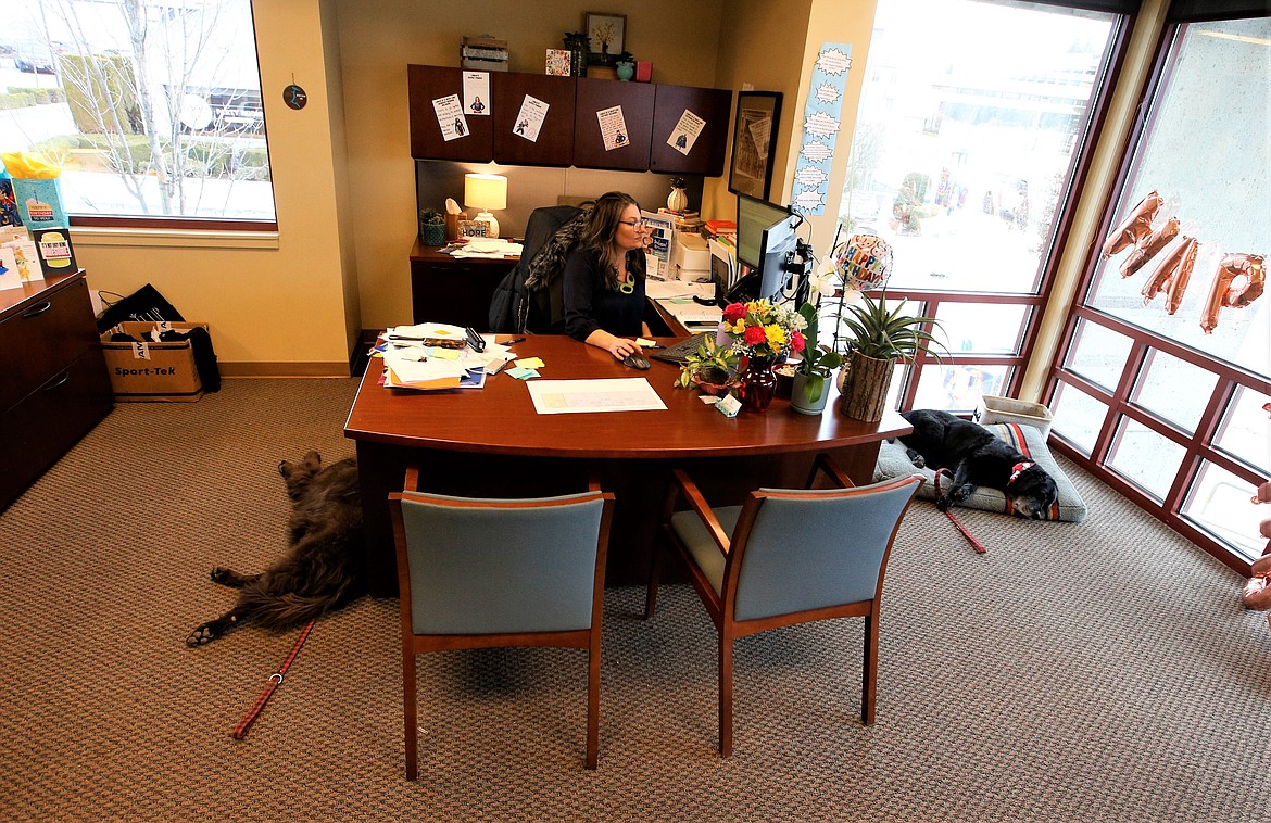 Linda Coppess, Coeur d'Alene Regional Chamber president and CEO, works in her office flanked by Thor, left, and Charlie.