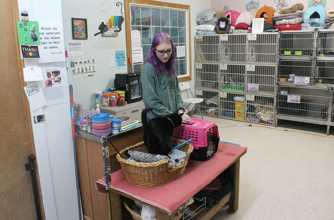 Grant County Animal Outreach staffer McKennah Solders spends a little quality time in the cat room with the shelter’s permanent cat Little Dipper. The window behind Solders opens into an isolation room for mama cats with kittens or sick cats. Its current occupant is a kitty with feline immunodeficiency virus, Solders said.