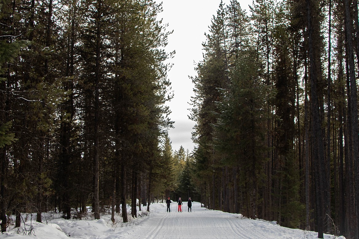 Three skiers are seen on Round Meadow Trail as they cross country ski on Jan. 25, 2023.(Kate Heston/Daily Inter Lake)