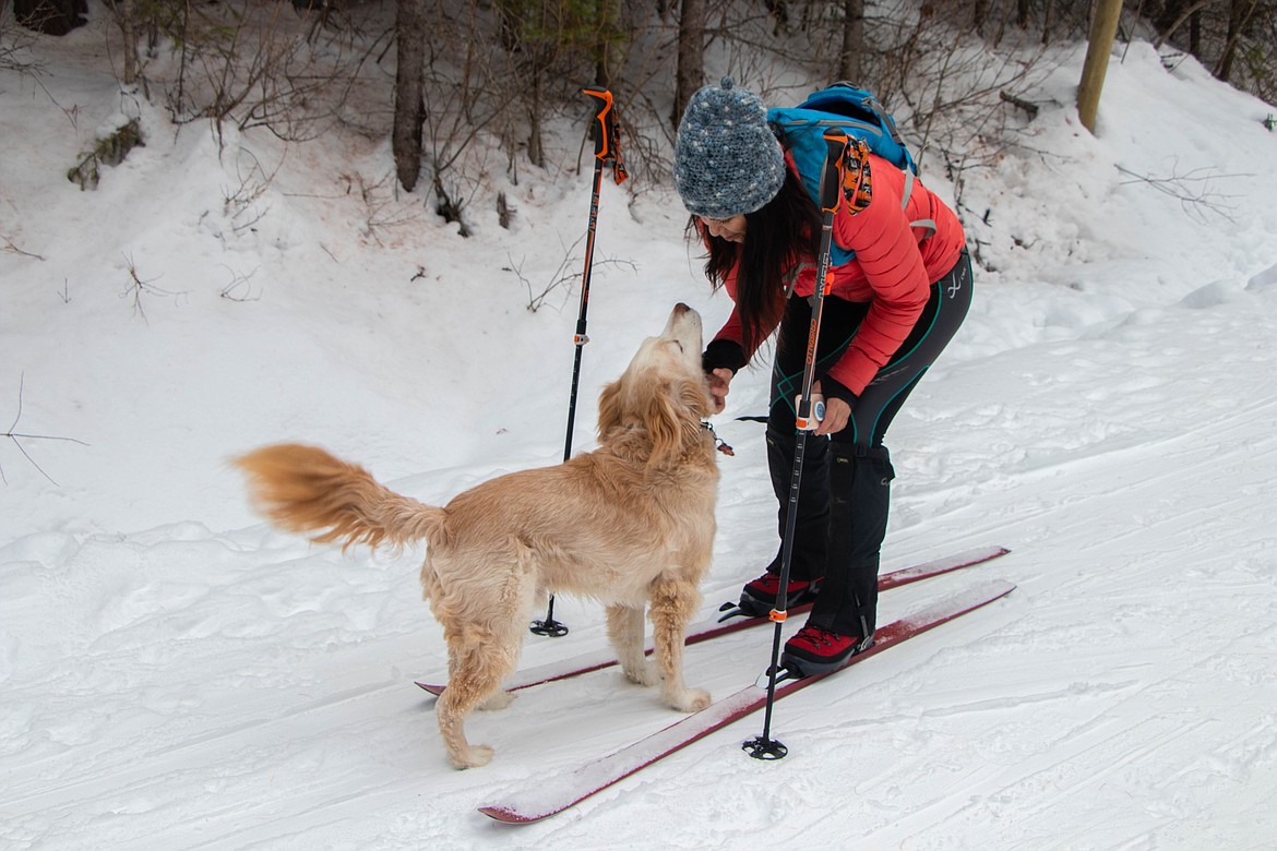 Laurie McCargar greets her dog Cody on Round Meadow Trails while cross country skiing on Jan. 25, 2023. (Kate Heston)