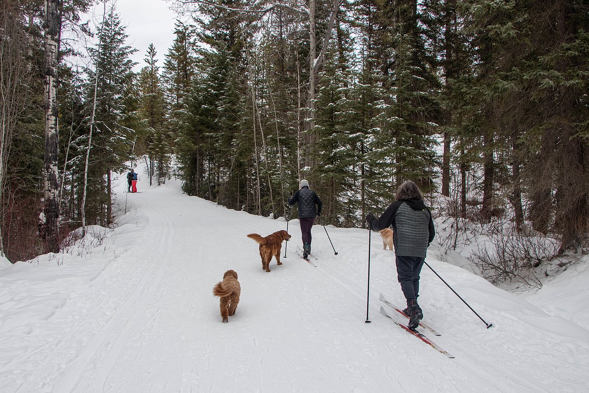 Cross country skiers and their dogs pass by an Outsiety skiing group at Round Meadow Trails on Jan. 25, 2023. (Kate Heston/Daily Inter Lake)