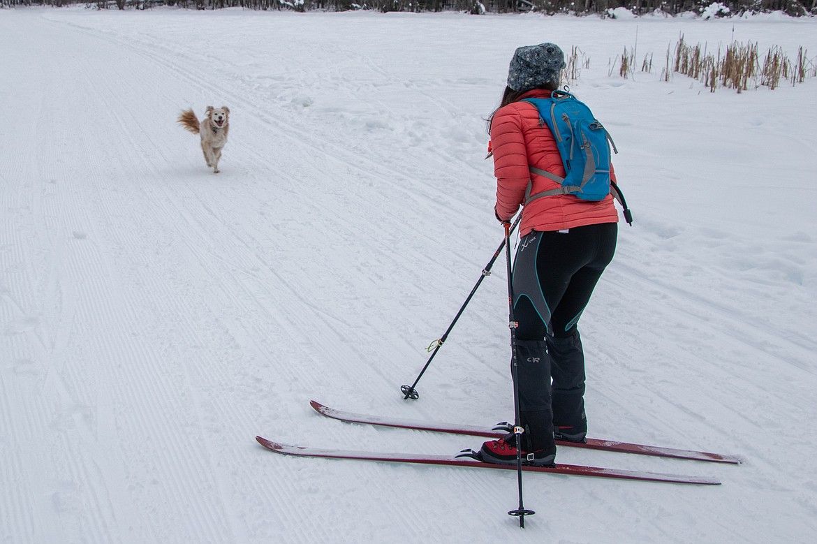 Laurie McCargar greets her dog on the Round Meadow Trail on Jan. 25, 2023 while cross country skiing. (Kate Heston/Daily Inter Lake)