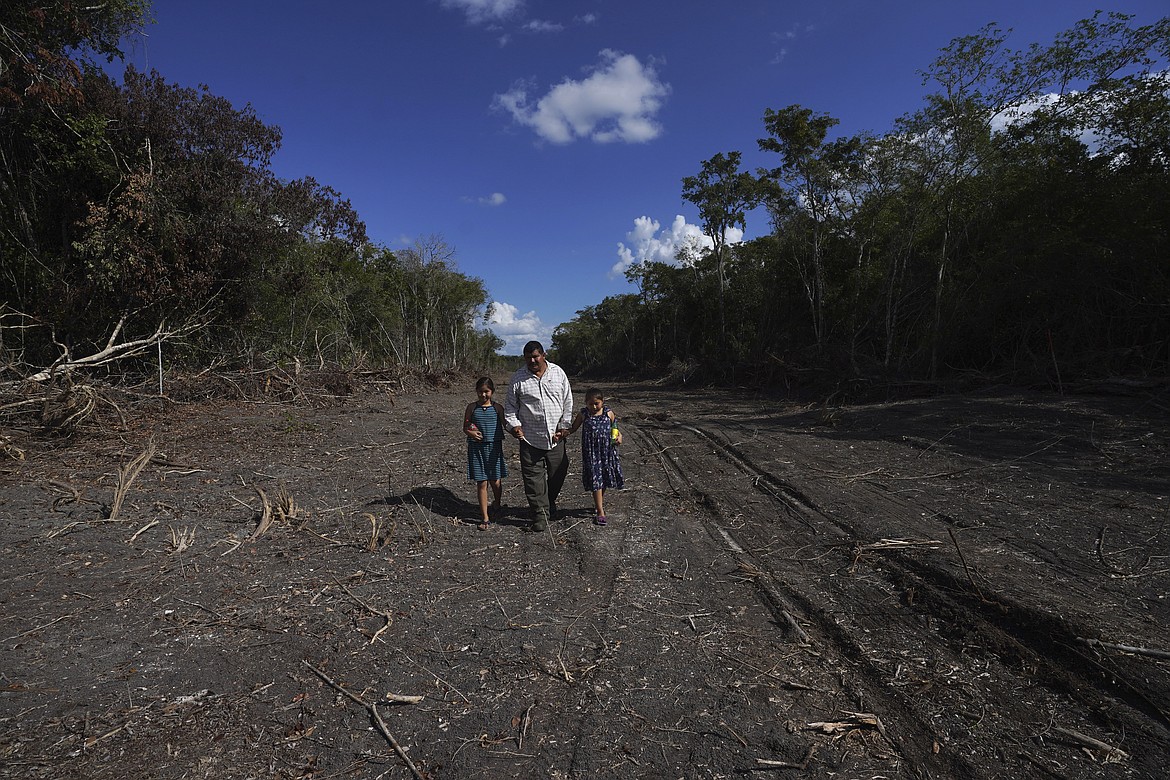 Omar Hernandez walks with his daughters on land he sold for the construction of a section of the Maya Train, near the Calakmul Biosphere Reserve in the Yucatan Peninsula of Mexico on Wednesday, Jan. 11, 2023. Hernandez hopes to sell organic honey he produces to tourists. He had to relocate his hives though, worried the heavy machinery would scare them away. (AP Photo/Marco Ugarte)