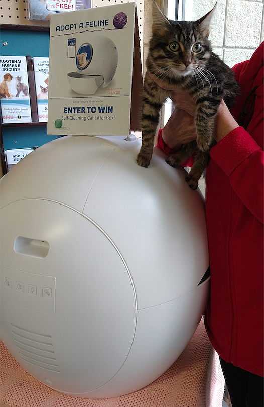 One entry to win a Hillpig self-cleaning cat litter box will be awarded for each cat adopted from Companions Animal Center this month. The drawing will be March 1. The prize, valued at nearly $600, was donated by Steve and Lisa Honig of Hayden.