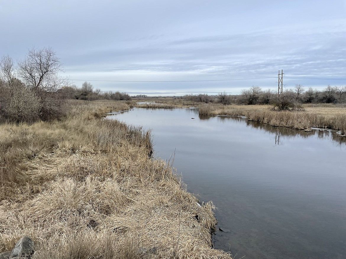 Crab Creek from the Road 7 NE bridge north of Moses Lake.