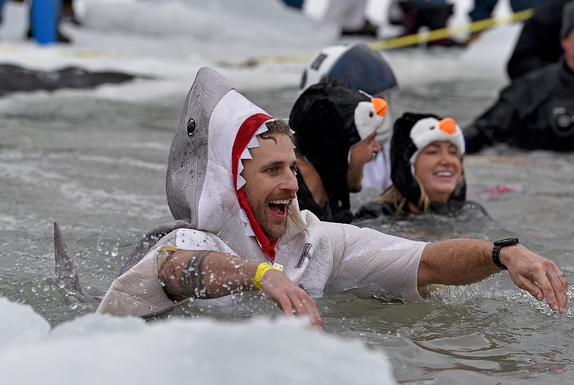 A shark wades through the icy water after taking the plunge at the Penguin Plunge on Saturday at City Beach. (Whitney England/Whitefish Pilot)