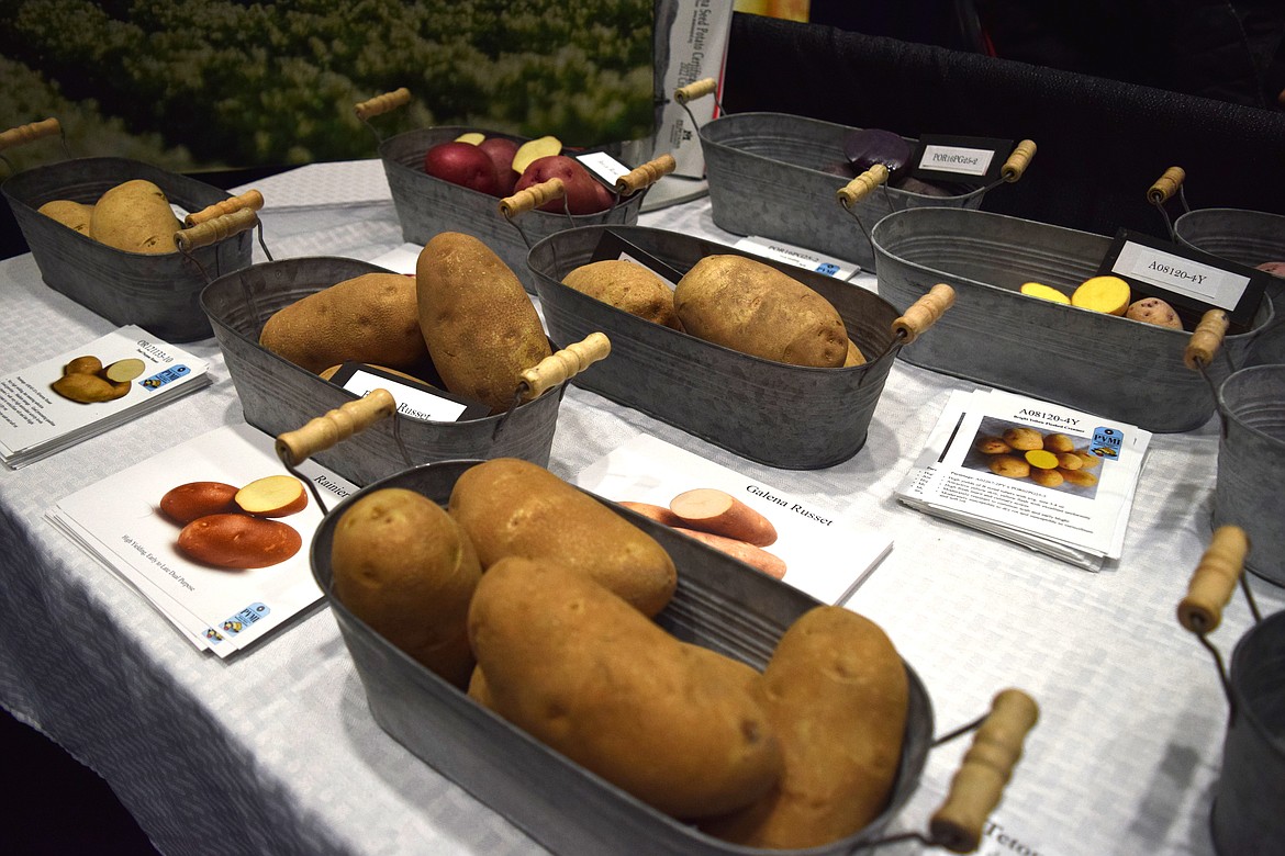 Varieties of potatoes on display at the Potato Variety Management Institute’s booth at the 2023 Washington-Oregon Potato conference in Kennewick in late January. While overall U.S. potato sales fell slightly in 2022 compared with 2021, the value of those sales rose more than 14%, according to a new report on annual potato sales from PotatoesUSA.