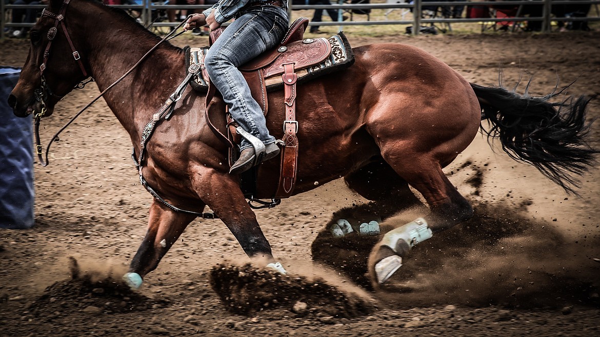 A stock photo shows a horse and rider. (Lee Pigott/Unsplash)