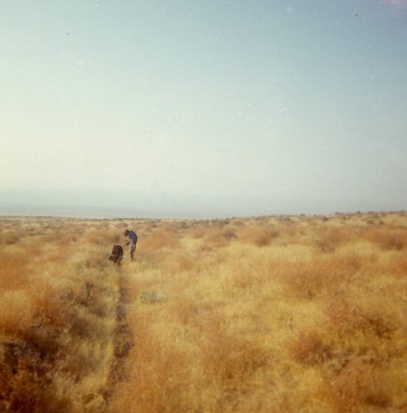 Mark Danielson and his friend, Joe Hodgkins, explore a wagon road on Saddle Mountain when Danielson was a teen.