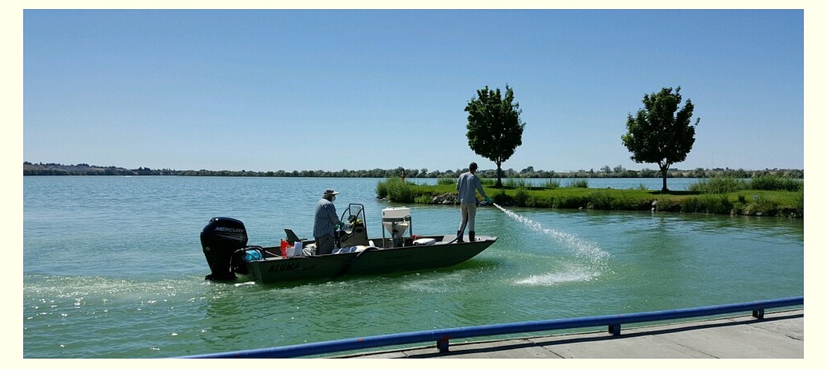 Treating Moses Lake with herbicides that treat for a variety of invasive plants and algae is one of the duties taken on by the Moses Lake Irrigation and Rehabilitation District. The method of paying for the operation of MLIRD was questioned during relatively recently legal action and is now being addressed by legislators in Olympia.