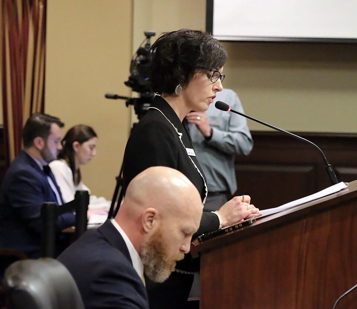 Sen. Tammy Nichols, R-Middleton, spoke about SB 1038 Wednesday, alongside Sen. Brian Lenney, R-Nampa.