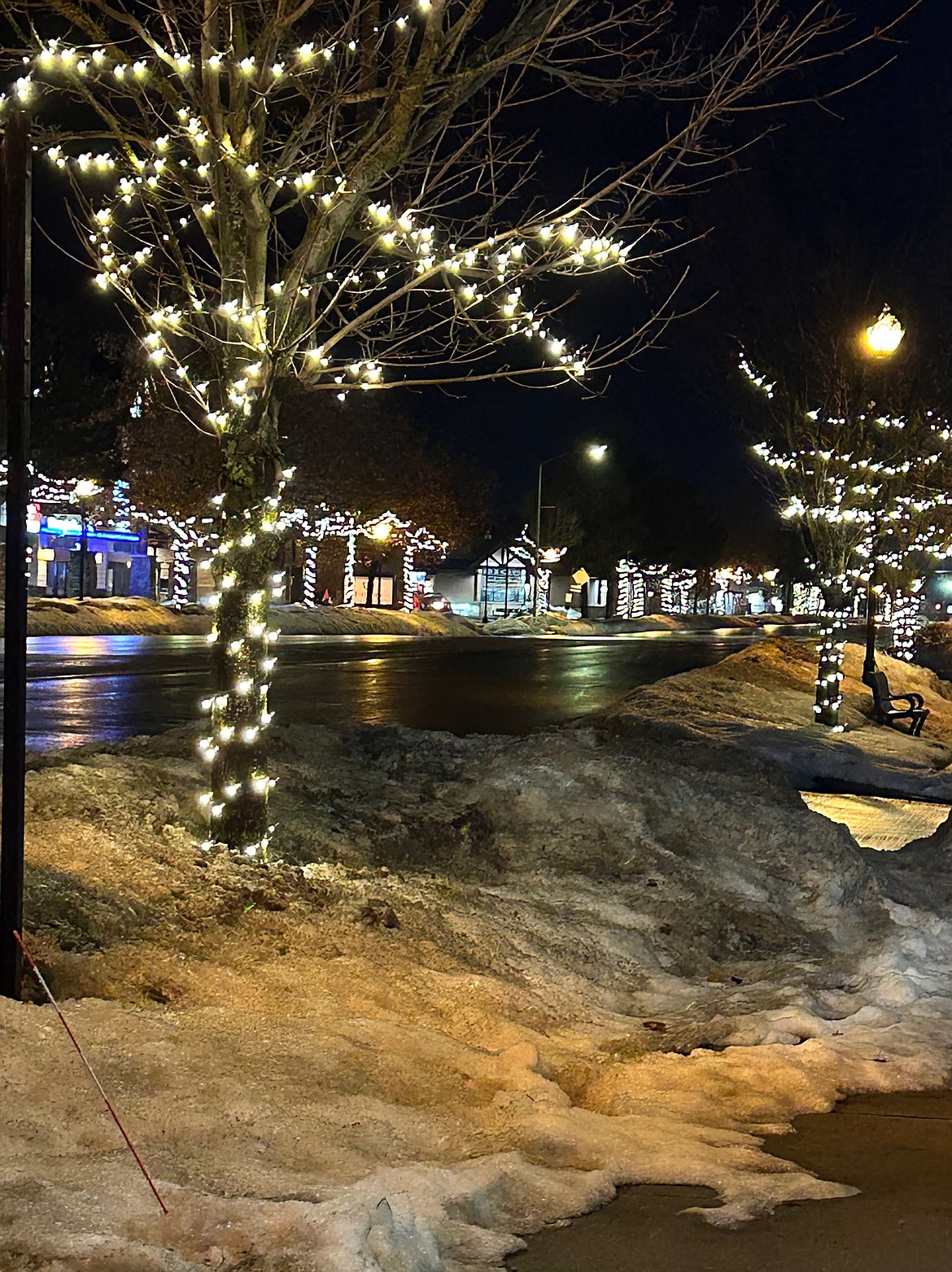 Donna Davis shared this Best Shot taken in mid-January of the festive lights adorning the trees in the city. If you have a photo that you took that you would like to see run as a Best Shot or I Took The Bee send it to the Bonner County Daily Bee, P.O. Box 159, Sandpoint, Idaho, 83864; or drop them off at 310 Church St., Sandpoint. You may also email your pictures in to the Bonner County Daily Bee along with your name, caption information, hometown and phone number to news@bonnercountydailybee.com.