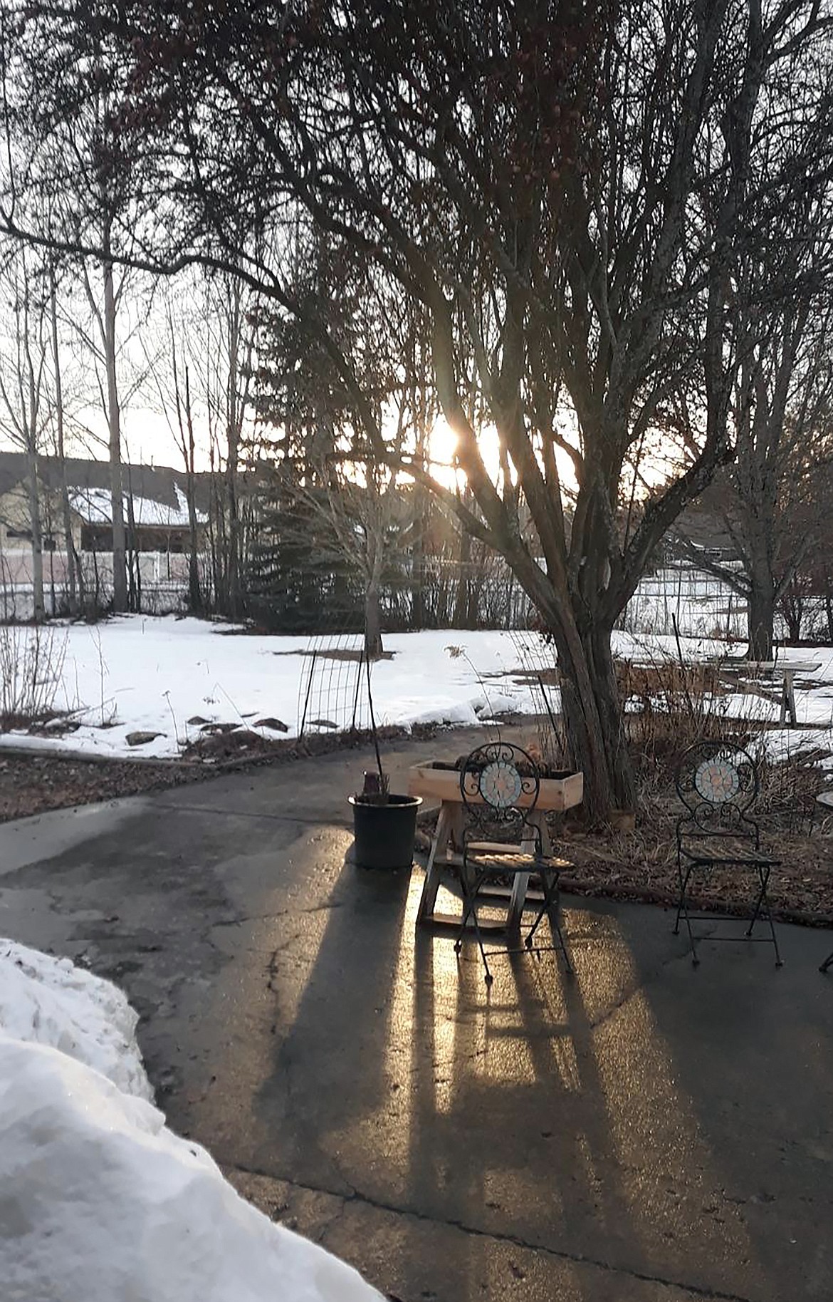 Albert De Armas shared this Best Shot of winter versus spring with spring "peeking in" to say hello. If you have a photo that you took that you would like to see run as a Best Shot or I Took The Bee send it to the Bonner County Daily Bee, P.O. Box 159, Sandpoint, Idaho, 83864; or drop them off at 310 Church St., Sandpoint. You may also email your pictures in to the Bonner County Daily Bee along with your name, caption information, hometown and phone number to news@bonnercountydailybee.com.