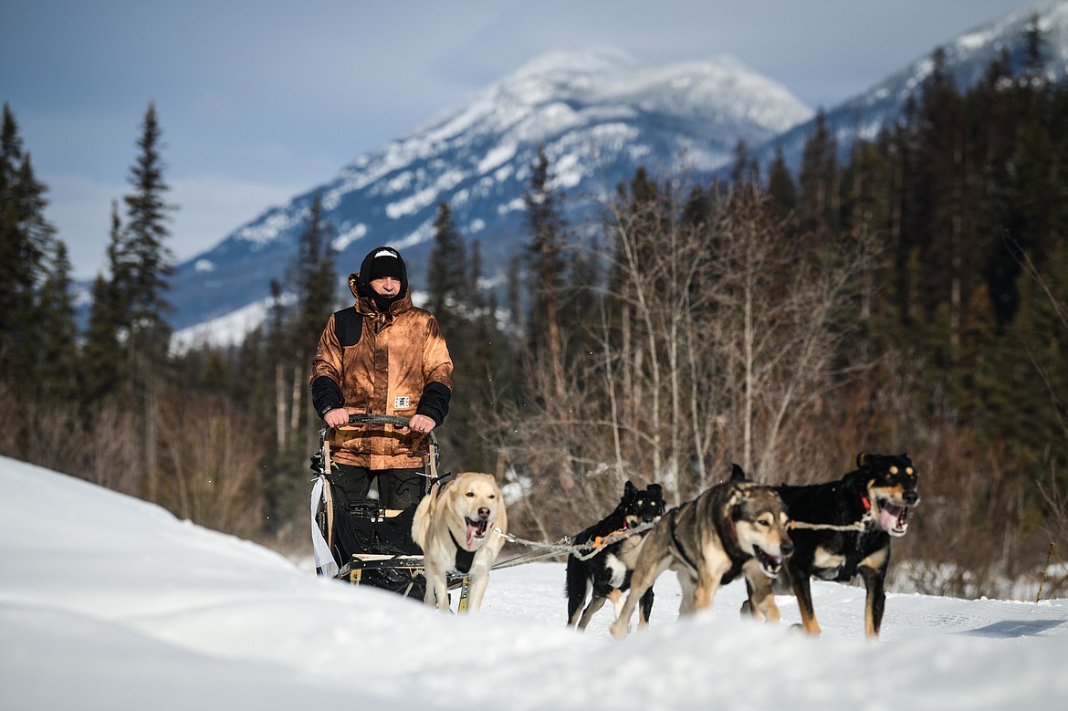 A musher leads his four-dog team through the course during the Flathead Classic Sled Dog Races at Dog Creek Lodge and Nordic Center in Olney on Saturday, Feb. 25. (Casey Kreider/Daily Inter Lake)