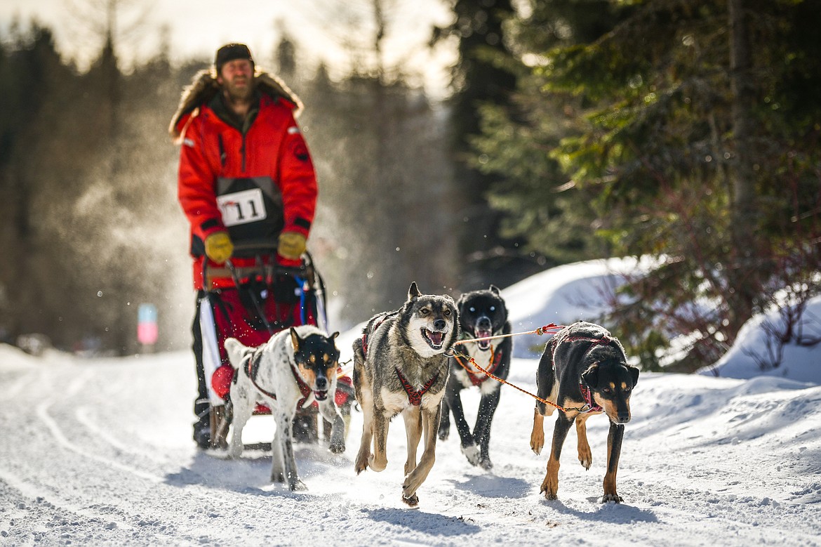 A musher leads his four-dog team through the course during the Flathead Classic Sled Dog Races at Dog Creek Lodge and Nordic Center in Olney on Saturday, Feb. 25. (Casey Kreider/Daily Inter Lake)