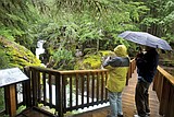 Avalanche Campground will reopen after three-year hiatus
