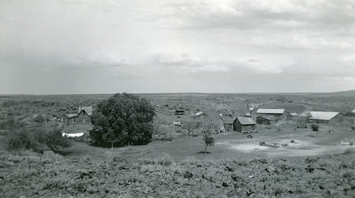 A picture of the Bolyard farm in 1936. According to Dan Bolyard, the big bunch of trees in the middle are still there and would obscure the view of his house today if he were to retake this photo. The building towards the right center with the windmill behind it survives as well, though in poor shape. Note the tank on top of the building. The family would fill it with water from the windmill, then pipe it everywhere. There are still bits of those pipes on the property. The buildings with the white-looking roofs on the right have fallen in. The house seen to the left of the big bunch of trees is still there, though the roof is failing.