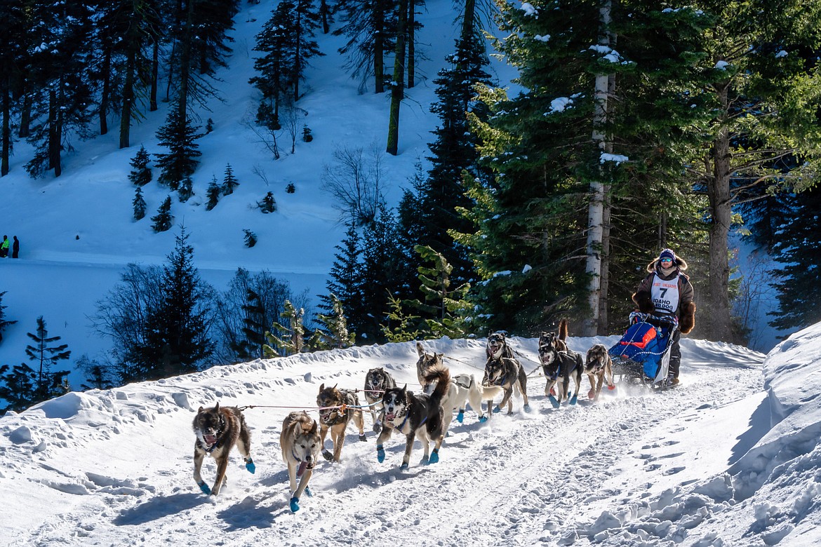 Jed Stephenson competes in the 300-mile Idaho Sled Dog Challenge, held in early February in McCall. Stephenson finished third with a time of 52:03:42.