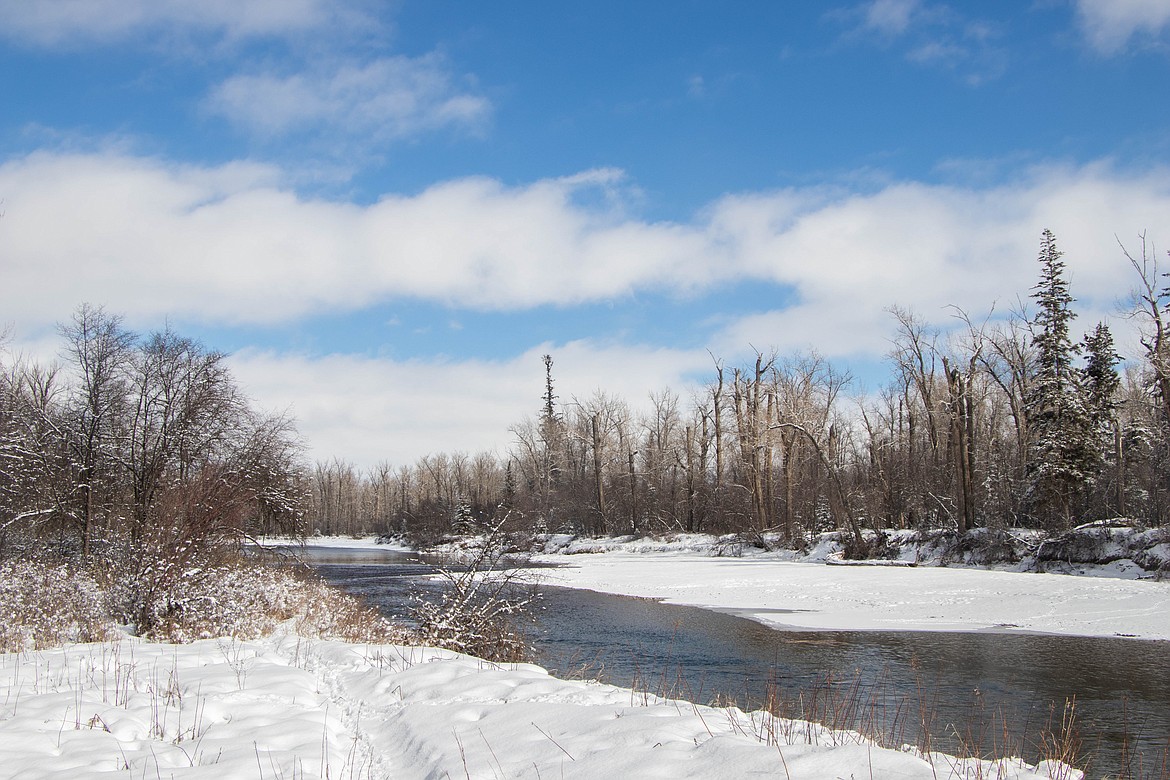 The Stillwater River is seen on the Owen Sowerwine parcel on March 1, 2023. (Kate Heston/Daily Inter Lake)