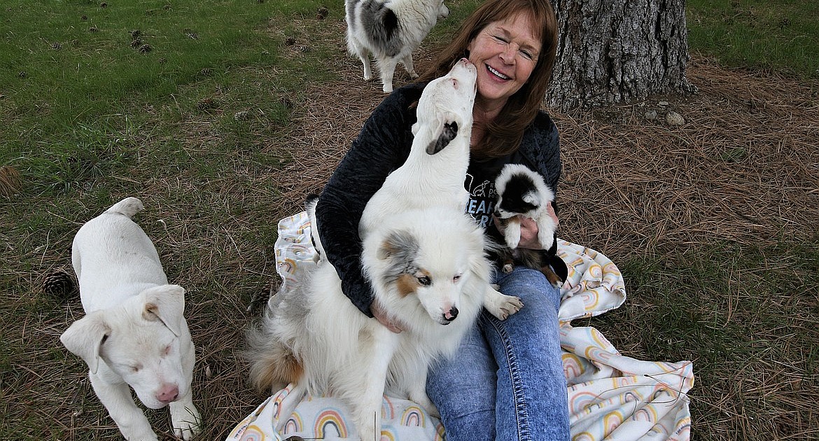 Icebreaker heats up help for Double J Dog Ranch Coeur d'Alene Press