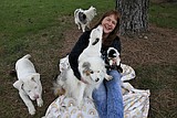 Icebreaker heats up help for Double J Dog Ranch